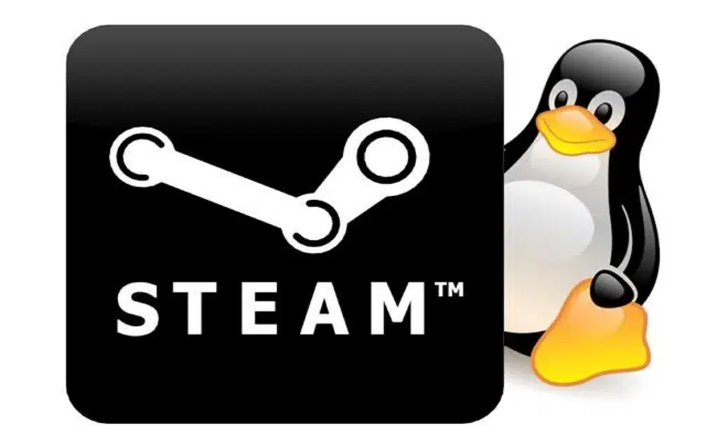 Linux sur Steam recule à 3 % : la fin du rêve ou un bug statistique ?